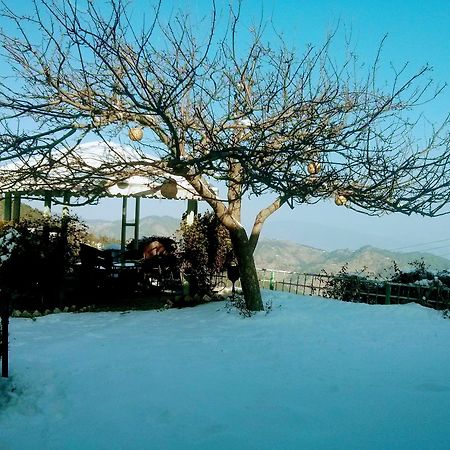 The Swiss Village Resort Nainital Exterior photo