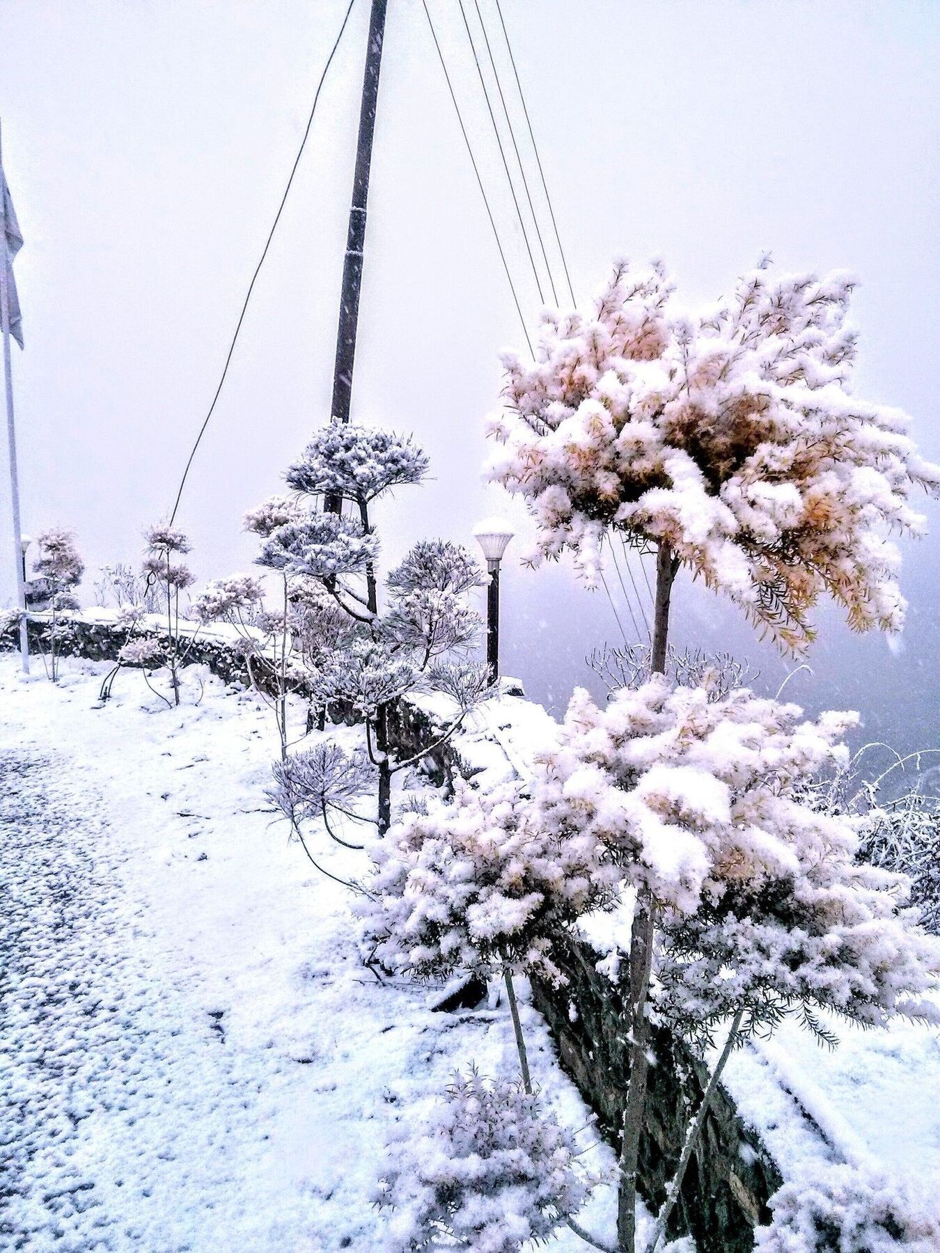 The Swiss Village Resort Nainital Exterior photo